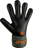 Reusch Attrakt Gold X Junior  5372055 5555 green grey back